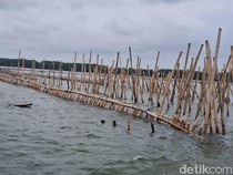 Benar Saja, Pagar Laut di Bekasi Ternyata buat Reklamasi