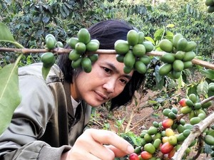 BNI Dukung UMKM Kopi Garut Swasembada Pangan & Tembus Pasar Global