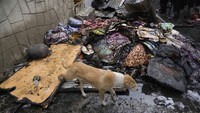 Pejabat Dinas Pemadam Kebakaran dan Darurat mengatakan bahwa kebakaran terjadi pada Senin (10/2) pukul 11.20 pagi di sebuah rumah di daerah Palpora, Noorbagh, sebelum akhirnya melalap rumah-rumah lain di dekatnya.  
