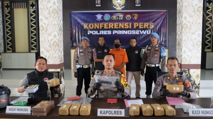 Kapolres Pringsewu, AKBP Yunnus Saputra menujukkan barang bukti ganja