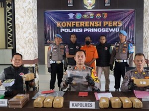 Polisi Sebut Rumah Budidaya Ganja di Pringsewu Masuk Jaringan Aceh