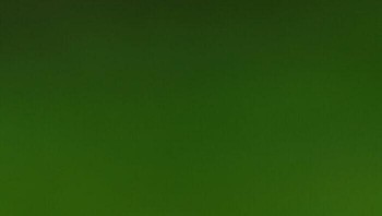 Karya Aditya Kshirsagar peserta Comedy Wildlife Photo Awards 2021 Foto: Wildlife Photography Awards