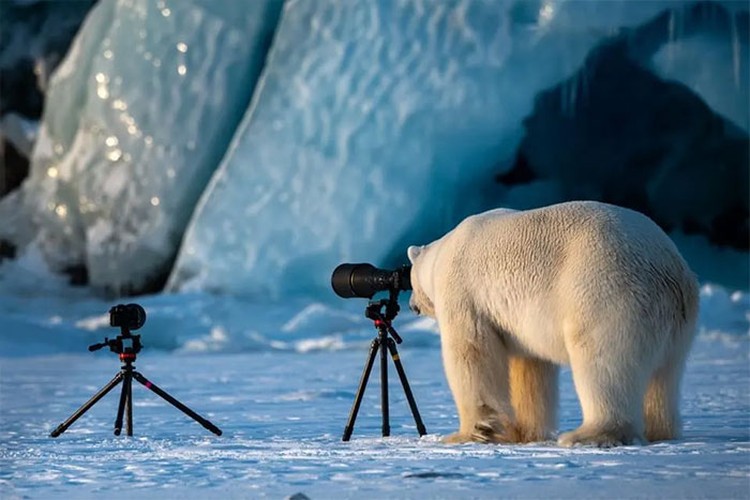 Karya Jawara Wildlife Photography Awards