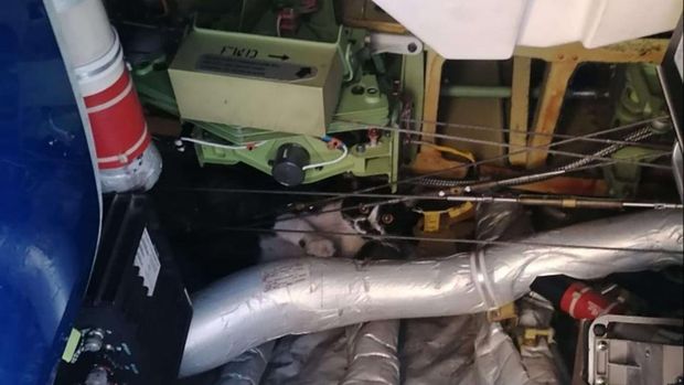 Kucing mengendap-endap masuk ke pesawat Ryanair