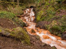 Kumpulan Hutan di Dunia yang Penuh Misteri Bikin Begidik