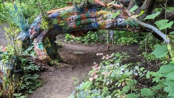 Pohon Hippie terletak jauh di dalam hutan di luar suaka tua yang dikelola negara Michigan. Hutan ini terkenal dalam legenda lokal. Diyakini bahwa hantu pasien rumah sakit jiwa yang gelisah menghantui salah satu pohon di hutan itu. Foto: Boredpanda  