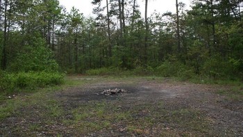Devils Tramping Ground, Carolina Utara, AS. Ada area lingkaran mistis di hutan Carolina Utara di mana tidak ada flora yang tumbuh, dan tidak ada hewan yang bisa  melewatinya. Menurut pengetahuan setempat, wilayah lingkaran ini disebut-sebut sebagai tanah injak setan, dan diyakini menjadi tempat menari setan setiap malam. Foto: Boredpanda  