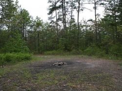 Kumpulan Hutan di Dunia yang Penuh Misteri Bikin Begidik