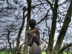 Kumpulan Hutan di Dunia yang Penuh Misteri Bikin Begidik