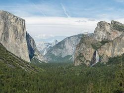 Kumpulan Hutan di Dunia yang Penuh Misteri Bikin Begidik