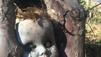 Taman Constitution Lakes di Atlanta adalah tempat perlindungan alami yang khas dengan lahan basah, satwa liar, dan seni yang unik sekaligus menyeramkan. Sebelum ditutup 50 tahun lalu, sebuah perusahaan batu bata sebelumnya pernah berdiri di sana. Foto: Boredpanda  