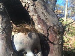 Kumpulan Hutan di Dunia yang Penuh Misteri Bikin Begidik