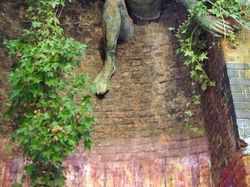 Kumpulan Hutan di Dunia yang Penuh Misteri Bikin Begidik