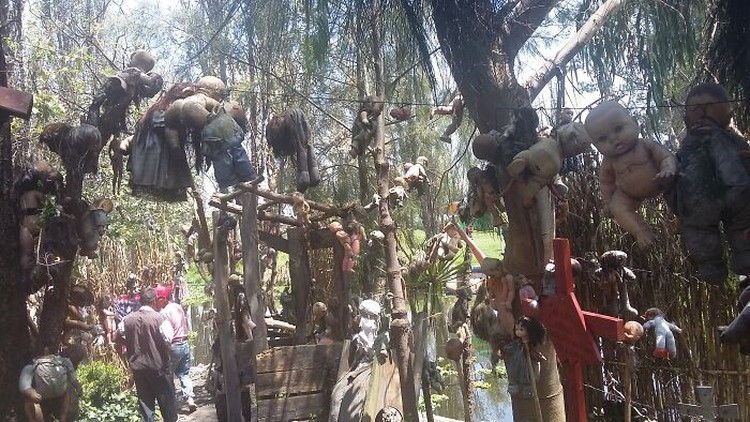 Kumpulan Hutan di Dunia yang Penuh Misteri Bikin Begidik