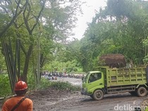 Sehari, Nilai Kerusakan Akibat Cuaca Ekstrem di Bali Capai Rp 885 Juta