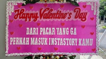 Hayo, hayo, hayo. Foto: via X