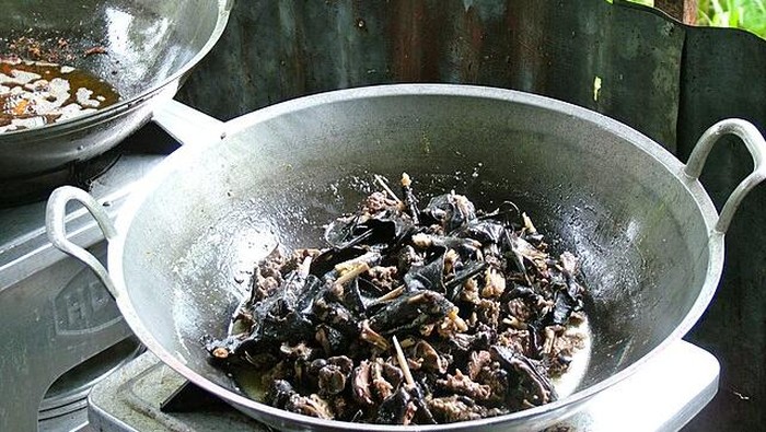 Paniki (fruit bat)