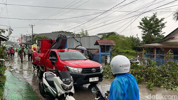 Petugas membersihkan pohon tumbang di Jalan Katangka Gowa.