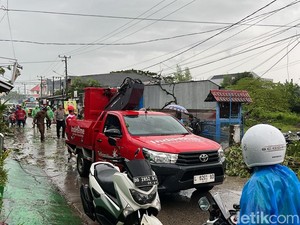 Hati-hati! Ada Pohon Tumbang di Jalan Katangka Gowa, Lalin 2 Arah Ditutup