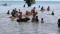 Sebelum acara puncak berlangsung, warga lebih dulu menggelar doa bersama di musholla masing-masing sebagai bentuk rasa syukur atas panen yang telah mereka lalui.