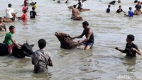 Tradisi ini berupa memandikan sapi di laut. Setelah sapi-sapi tersebut selesai untuk membajak sawah selama musim tanam.