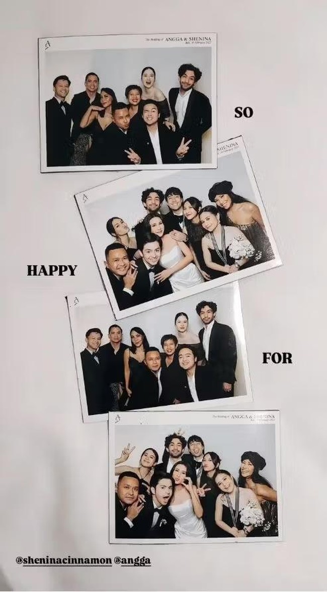 Resepsi Pernikahan Angga Yunanda dan Shenina Cinnamon