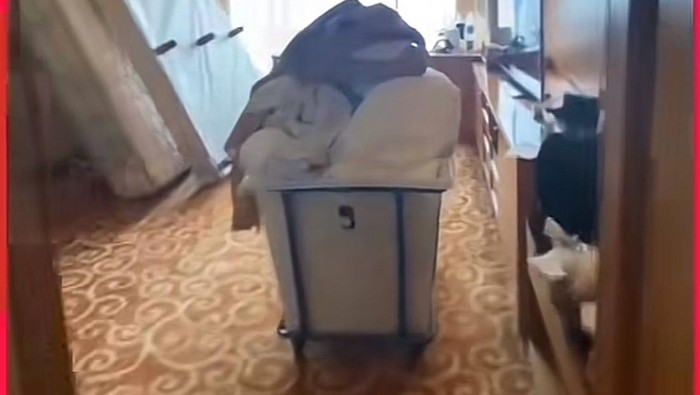 Tangkapan layar kamar hotel yang banjir gegara ulah tamu di Medan. (dok. Istimewa)