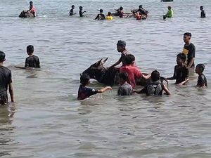 Mengintip Tradisi Rasol, Memandikan Sapi Usai Musim Tanam di Bawean