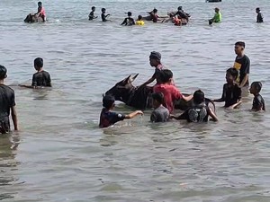 Mengintip Tradisi Rasol, Memandikan Sapi Usai Musim Tanam di Bawean