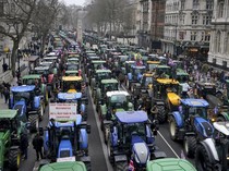 Traktor Petani Kuasai Jalanan London, Protes Kenaikan Pajak