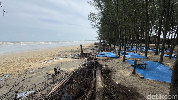 Kondisi Pantai Caruban di Desa Gedongmulyo, Lasem, Rembang usai terkena abrasi, Selasa (11/2/2025).