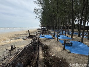 Pantai Caruban Rembang Kena Abrasi, Tergerus 10 Meter dalam 3 Tahun