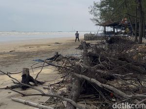Video Pantai Caruban Rembang Kena Abrasi, Tergerus 10 Meter dalam 3 Tahun