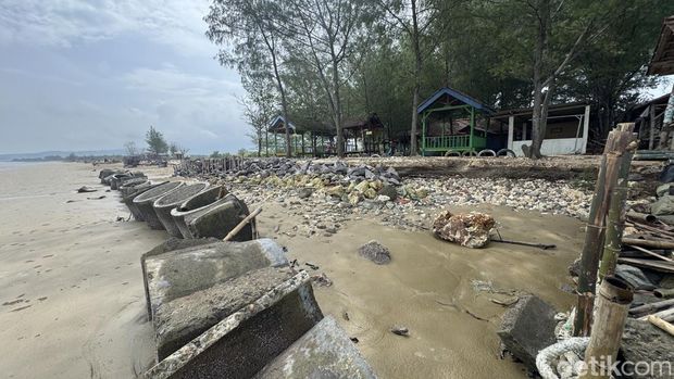 Kondisi Pantai Caruban di Desa Gedongmulyo, Lasem, Rembang usai terkena abrasi, Selasa (11/2/2025).