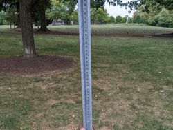 10 Kelakukan Kocak Bocil yang Bikin Nyengir, Ada-ada Aja