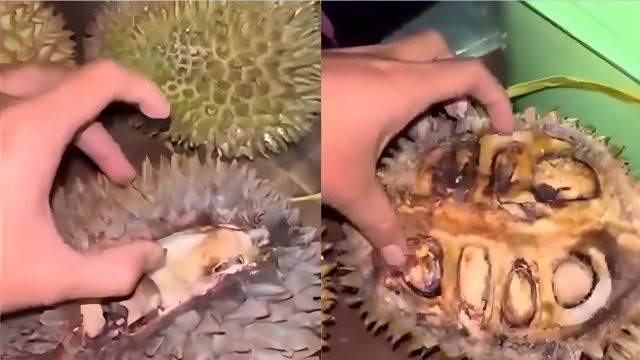 Apa Itu Durian Tewel yang Viral di Pasar Cheng Ho?