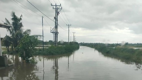 Sawah dan tambak di Desa Kidang, Kecamatan Praya Timur, Lombok Tengah, tergenang banjir. Foto: (istimewa)