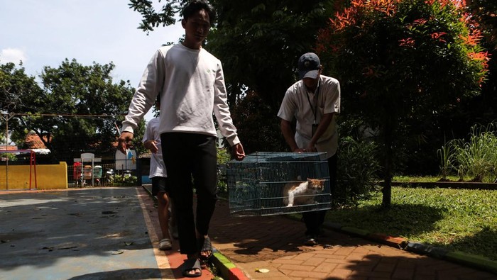 Warga membawa kucing peliharaannya untuk divaksin rabies di RPTRA Berseri, Jagakarsa, Jakarta, Rabu (12/2/2025). Suku Dinas Ketahanan Pangan, Kelautan, dan Pertanian (Sudin KPKP) Jakarta Selatan menggelar vaksinasi gratis untuk hewan peliharaan guna mencegah dan mengantisipasi penyebaran penyakit rabies. ANTARA FOTO/Asprilla Dwi Adha/nz