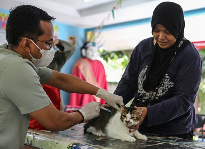 Warga membawa kucing peliharaannya untuk divaksin rabies di RPTRA Berseri, Jagakarsa, Jakarta, Rabu (12/2/2025). Suku Dinas Ketahanan Pangan, Kelautan, dan Pertanian (Sudin KPKP) Jakarta Selatan menggelar vaksinasi gratis untuk hewan peliharaan guna mencegah dan mengantisipasi penyebaran penyakit rabies. ANTARA FOTO/Asprilla Dwi Adha/nz