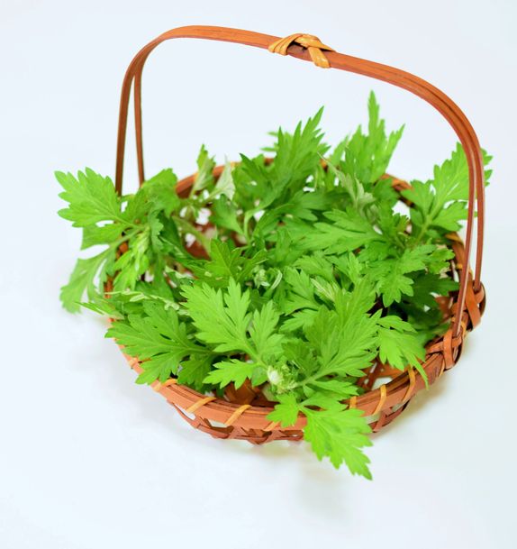 daun herba yang populer di Jepang untuk masakan
