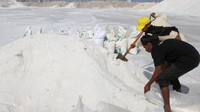 Saat ini, fasilitas tersebut memproduksi sekitar 40.000-45.000 ton garam setiap tahunnya, menurut Nashit Saeed, seorang penasihat produksi garam.