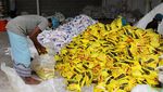 Geliat Produksi Garam di Kota Pelabuhan Kuno Yaman