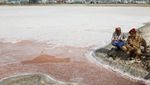 Geliat Produksi Garam di Kota Pelabuhan Kuno Yaman
