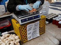 Harga Telur di AS Melonjak Imbas Wabah Flu Burung