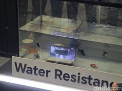 Wujud HP Honor Segera Rilis di RI, Layar Lipat hingga Tahan Direbus & Dibor