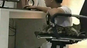 Ampun paduka. Foto: (Bored Panda).