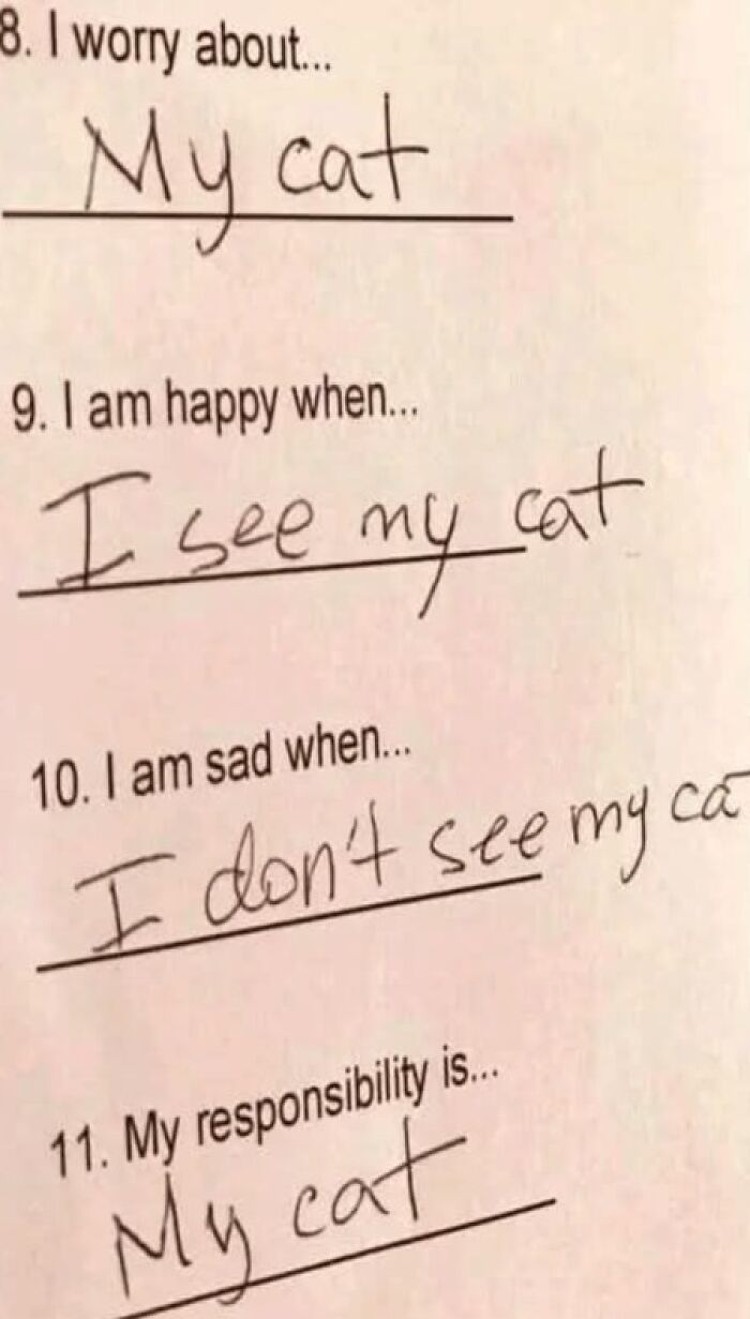 Meme Lucu Soal Kucing, Pasti Bikin Kamu Nyengir Kucing memang ada saja ya kelakukan lucunya. Nah sederet pengguna internet membagikan meme soal kucing yang bisa bikin kalian nyengir.