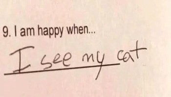 Kucing, kucing, dan kucing. Foto: (Bored Panda).