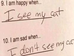 Meme Lucu Soal Kucing, Pasti Bikin Kamu Nyengir