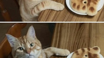 Terlihat mirip ya. Foto: (Bored Panda).